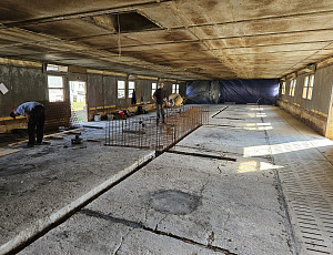 Rekonstrukce haly chovu prasat